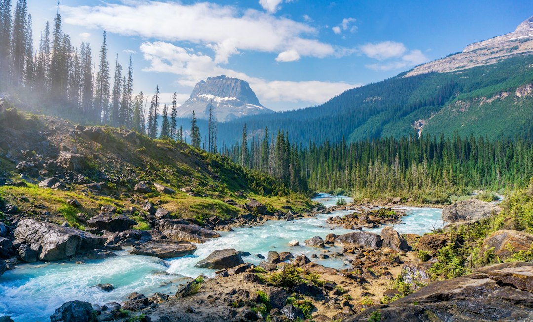 National and Provincial Parks