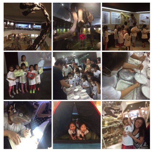 2015/06 Beijing Museum of Palaeontology