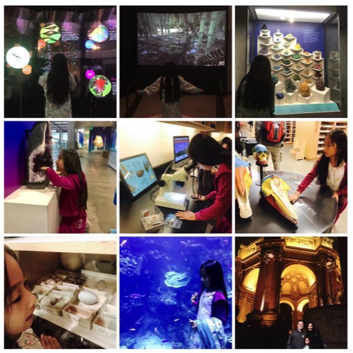 2017/10 California Academy of Sciences