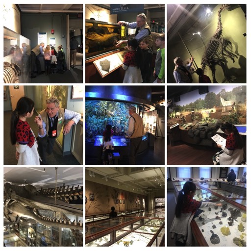 2018/04 Harvard Museum of Natural History