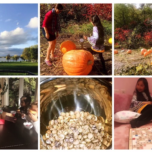 2017/10 Community pumpkin competition, afternoon tea, and Scrabble