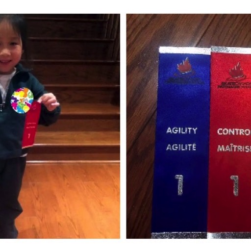 2015/11 I earned Skating Level 1
