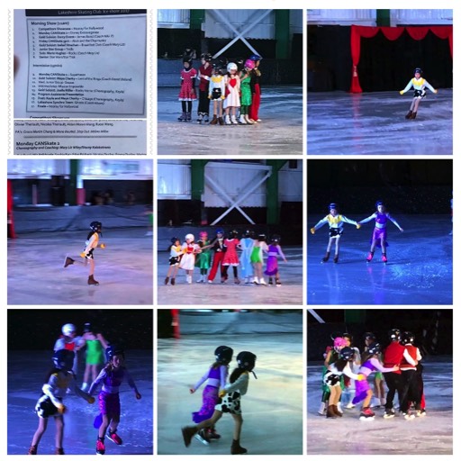 2017/04 Skating performance