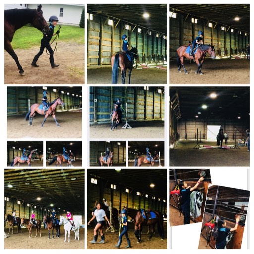 2018/08 Equestrian summer camp