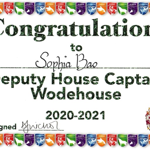 2020-2021 Woodhouse Junior School Deputy House Captain — I led house events, sports activities, and early years sports events. I introduced a procedure to help everyone wear a mask at school during the COVID-19 outbreak.